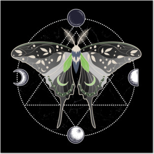 Agender Luna Moth Celestial Cottagecore LGBT Pride Flag Posters and Art