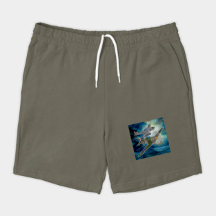 Hawker Hurricane and ME 262 Shorts