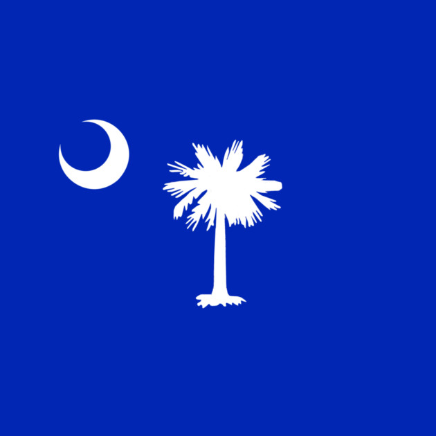 South Carolina Flag – Palmetto & Crescent by DonWillisJrArt