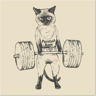 Siamese Cat Lift Posters and Art