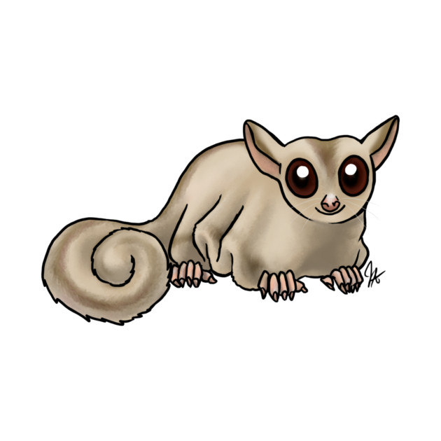 Mammal - Sugar Glider - Creamrino by Jen's Dogs Custom Gifts and Designs