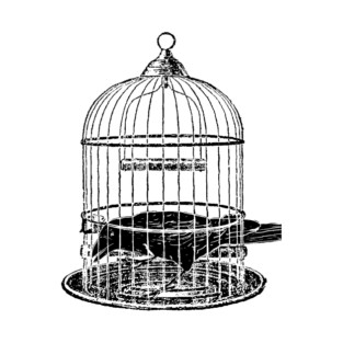 Caged Raven T-Shirt