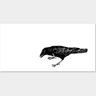 Crow Posters and Art
