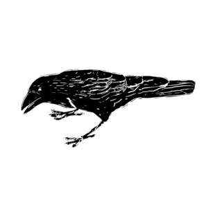 Crow T-Shirt