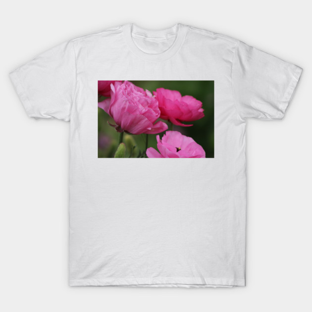 Closeup Deep Peony Pink Ranunculus T-Shirt by ButterflyInTheAttic