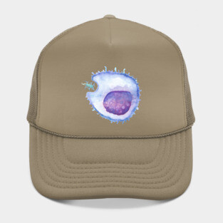 Phagocytosis WBC white blood cell Hat