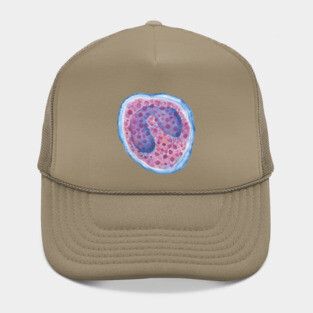 Eosinophil WBC white blood cell Hat