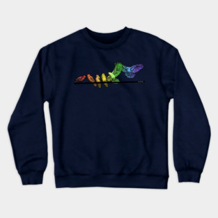 Rainbow Crows Crewneck Sweatshirt