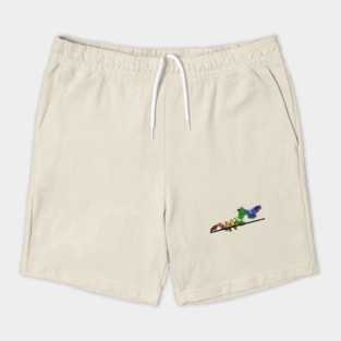 Rainbow Crows Shorts