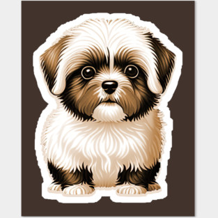 Havanese Puppy Dog with Brown & White Coat of Silky Soft Fur Posters and Art