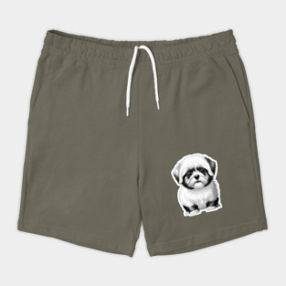 Black & White Cartoon Illustration of a Havanese Puppy Shorts
