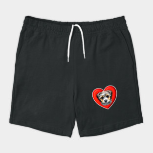 A Scruffy Havanese Headshot Illustration on a Heart Background Shorts