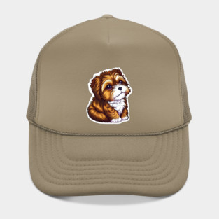 A Brown Havanese Puppy with Golden, Cream & White Highlights Hat