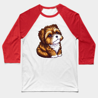 A Brown Havanese Puppy with Golden, Cream & White Highlights Baseball T-Shirt