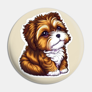 A Brown Havanese Puppy with Golden, Cream & White Highlights Pin