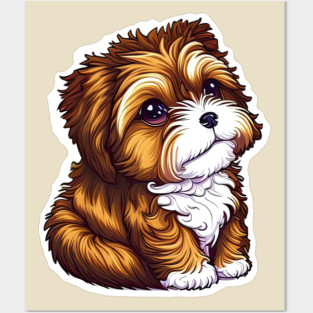 A Brown Havanese Puppy with Golden, Cream & White Highlights Posters and Art