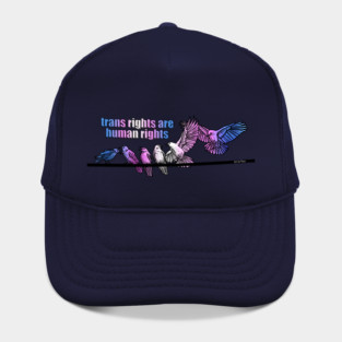 Trans Rights Are Human Rights Hat