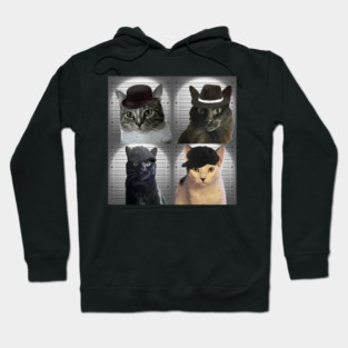 Cat in the Wall Gang Hoodie