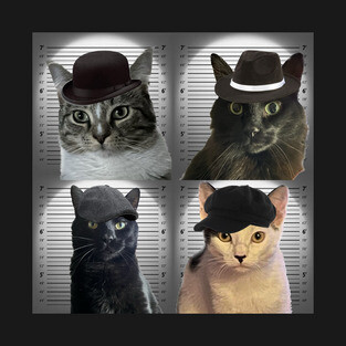 Cat in the Wall Gang T-Shirt