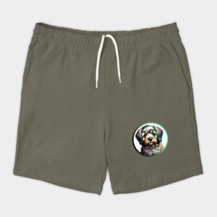 A Brown & White Havanese Dog in a Green Highlight Shorts