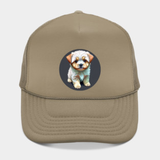 A White Havanese Puppy Dog with Cream & Light Brown Highlight Markings Hat