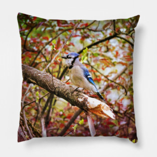 Blue Jay Pillow