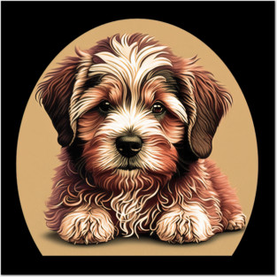 A Redish Brown Havanese Dog Cartoon Posters and Art