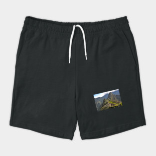Pérou - Machu Picchu Shorts