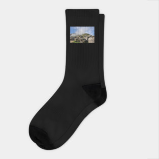 Pérou - Machu Picchu Socks
