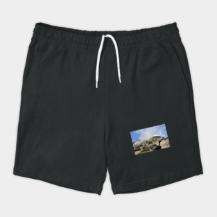 Pérou - Machu Picchu Shorts
