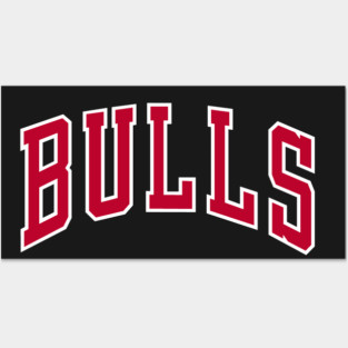 BULLS Basketball logo Posters and Art