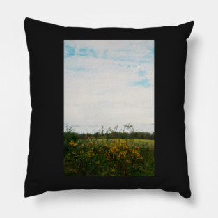 Sitting Roadside Pillow