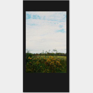 Sitting Roadside Posters and Art