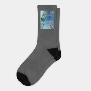 Possible Socks