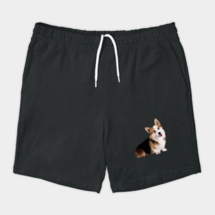 Corgi Dog, Love Corgis Shorts