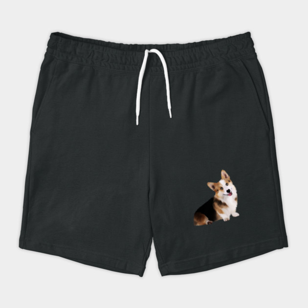 Corgi Dog, Love Corgis by logiamerch