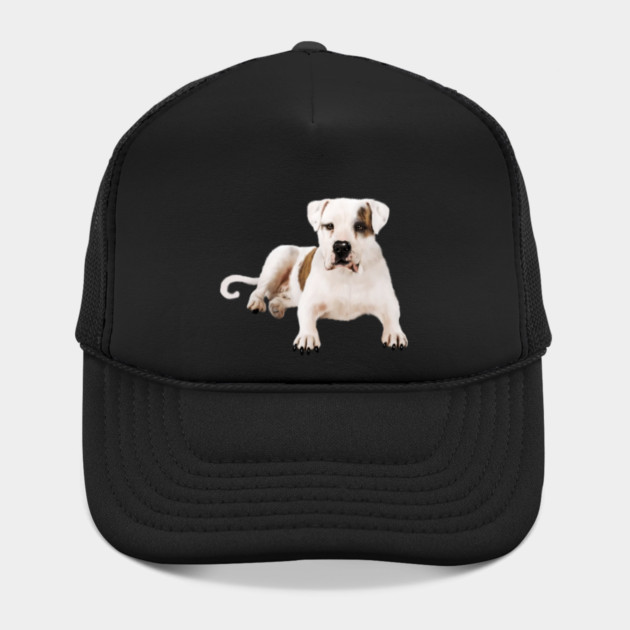 Bull Dog Lover, Bulldogs by logiamerch