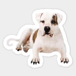 Bull Dog Lover, Bulldogs Sticker