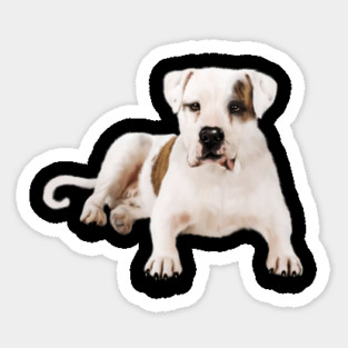 Bull Dog Lover, Bulldogs Magnet