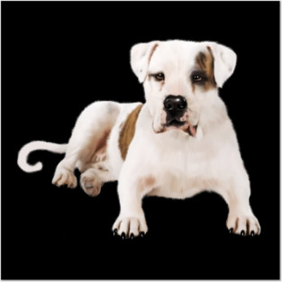 Bull Dog Lover, Bulldogs Posters and Art