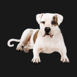 Bull Dog Lover, Bulldogs T-Shirt