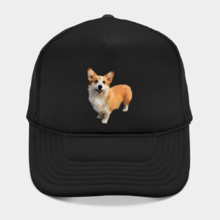 Corgi Dog, Dog Lover Hat