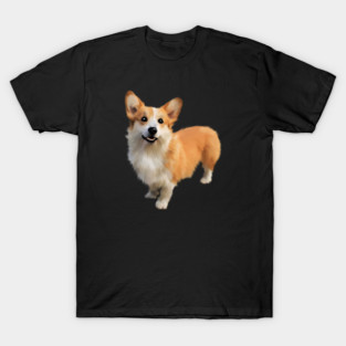 Corgi Dog, Dog Lover T-Shirt