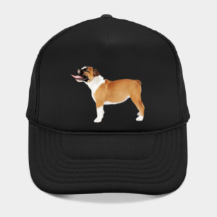 American Bulldog, Dog Lover Hat