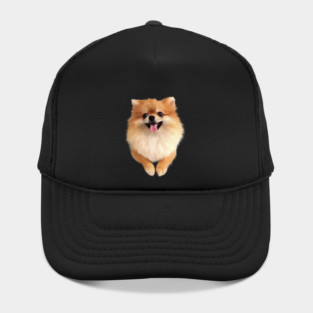 Pomeranian Dog Smiling, Love Pomeranians Hat