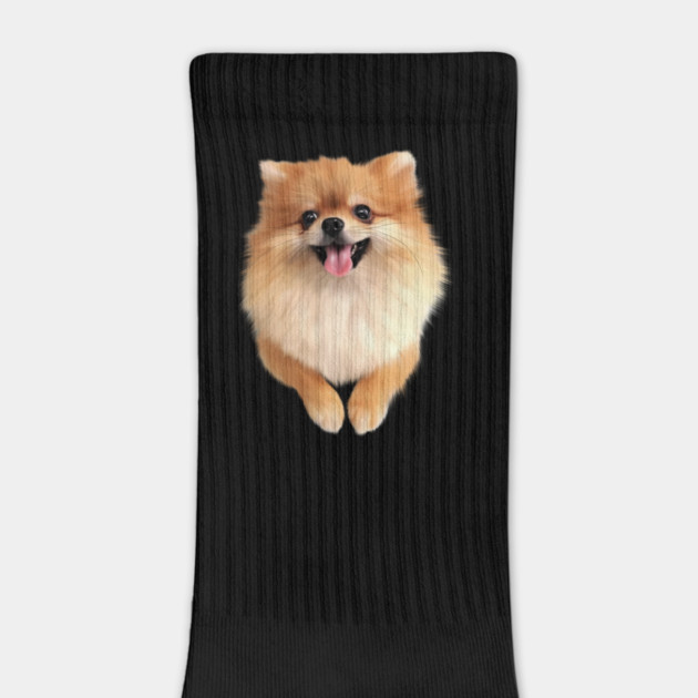 Pomeranian Dog Smiling, Love Pomeranians by logiamerch