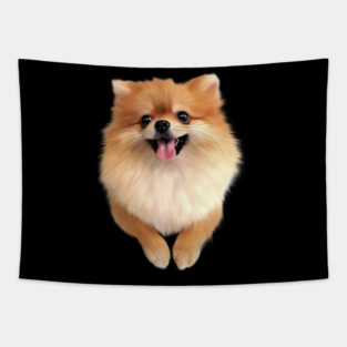Pomeranian Dog Smiling, Love Pomeranians Tapestry