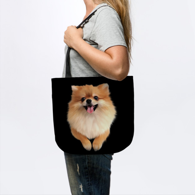 Pomeranian Dog Smiling, Love Pomeranians by logiamerch