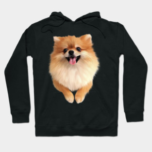 Pomeranian Dog Smiling, Love Pomeranians Hoodie