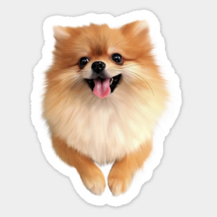 Pomeranian Dog Smiling, Love Pomeranians Sticker